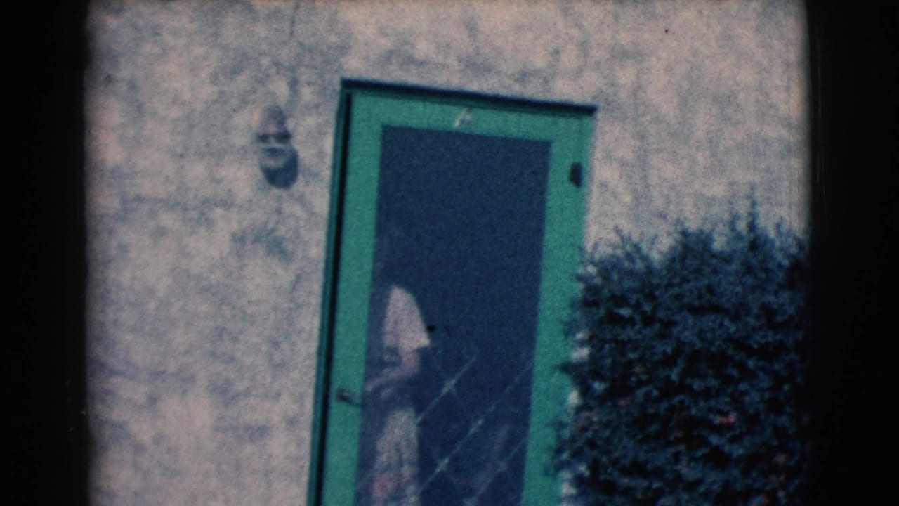 Green screen door on a stucco wall with a shrub beside the entrance.
