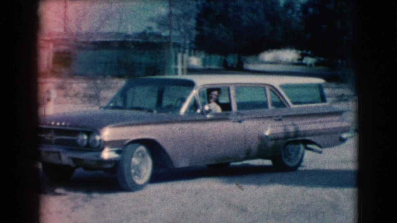 Driver visible inside a station wagon near a driveway.