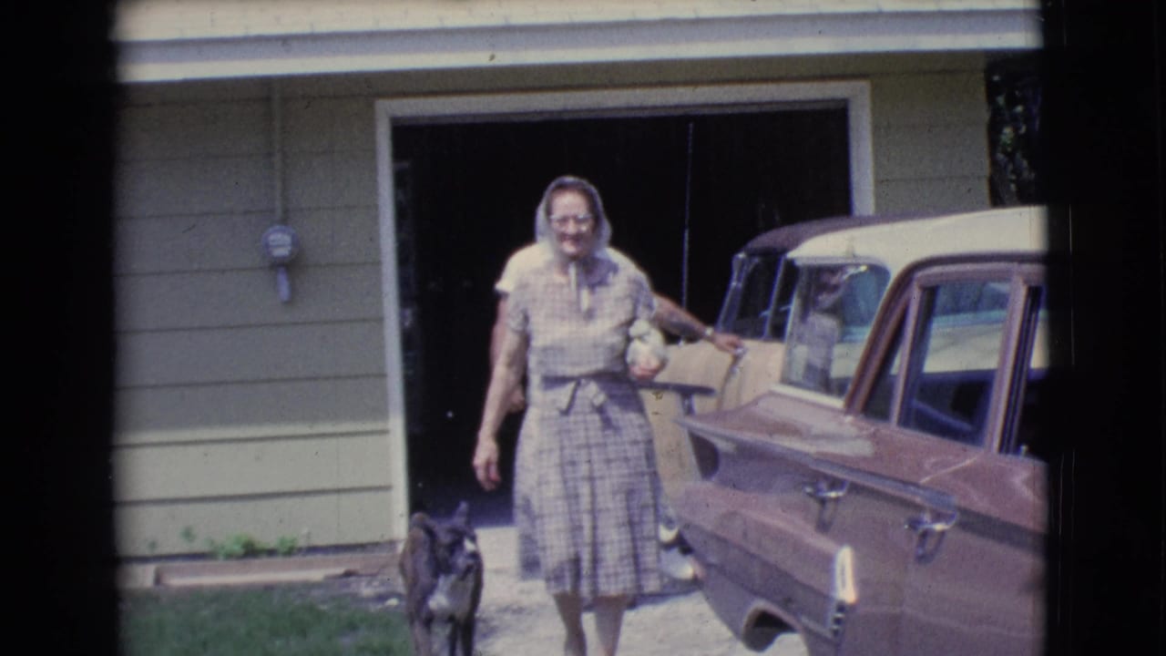 Woman walks beside a brown car with a small dog near the driveway and open garage.
