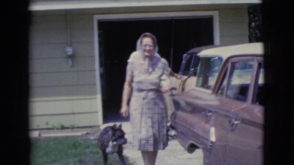 A woman in a plaid dress and headscarf approaches the camera, with the dog in front of the lawn and the parked car at right.