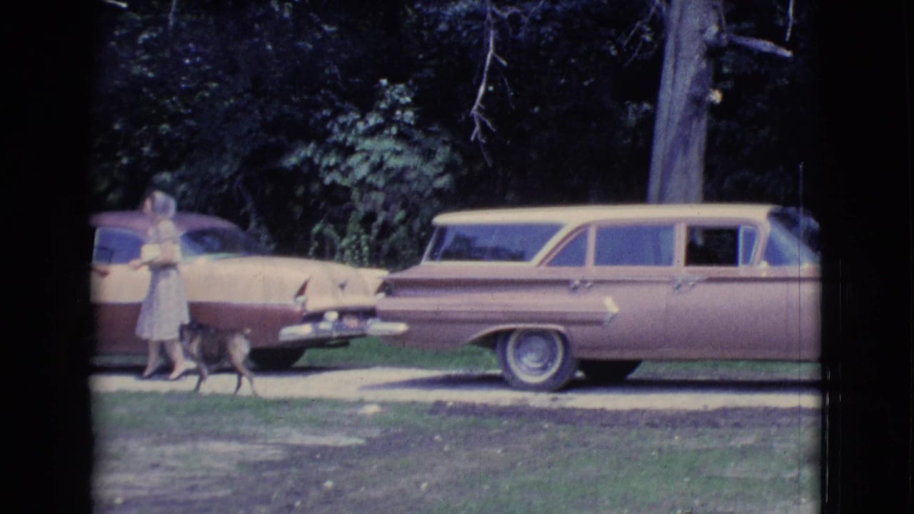 Woman walking a small dog beside two parked two-tone cars on a lawn.
