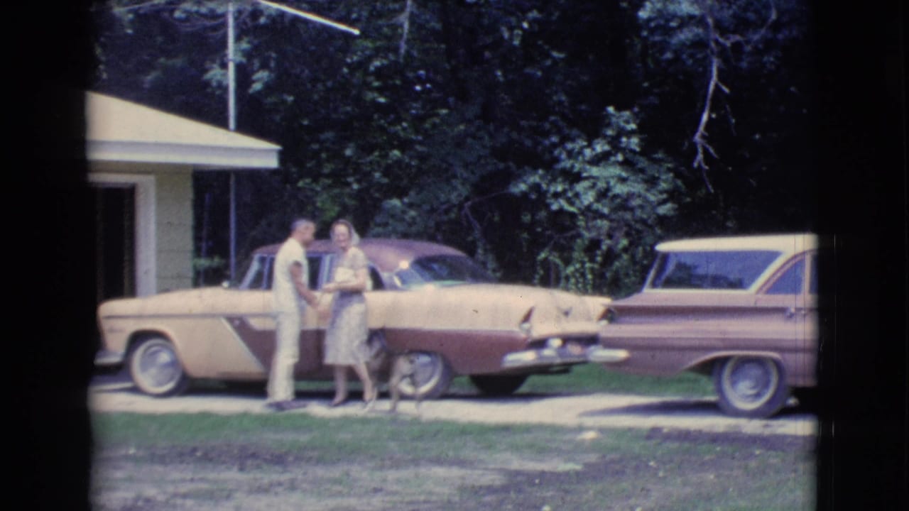 Couple standing beside a two-tone car with a dog near a driveway.