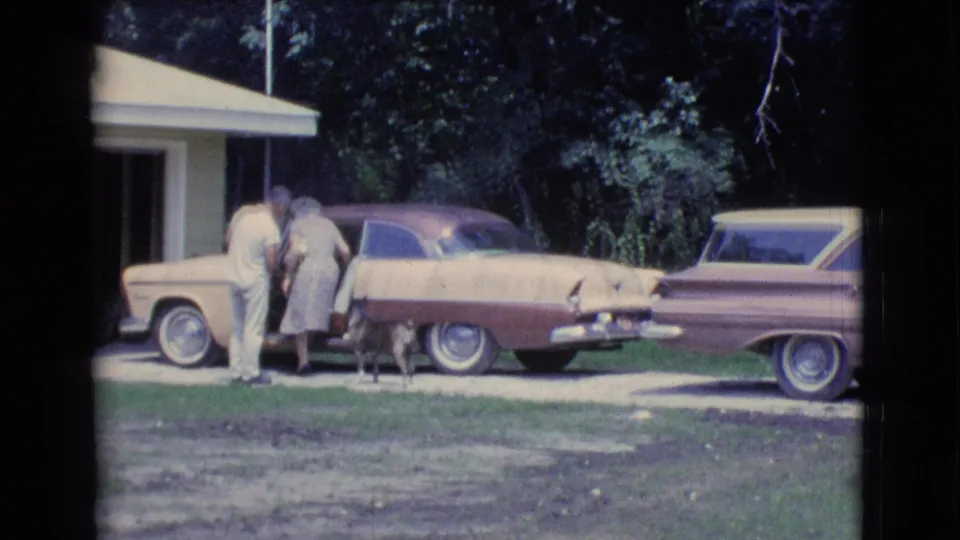 The couple leans toward the open sedan door while the dog stands close, with another parked car and trees visible behind them.