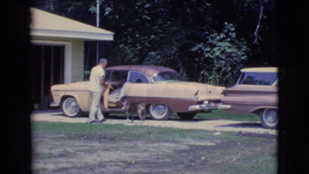 Man stands beside a two-tone car while a small dog waits near the open passenger window.