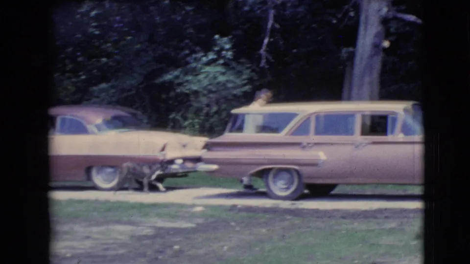 A two-tone station wagon sits in a Clarkdale driveway as the small dog moves near the back of the car.