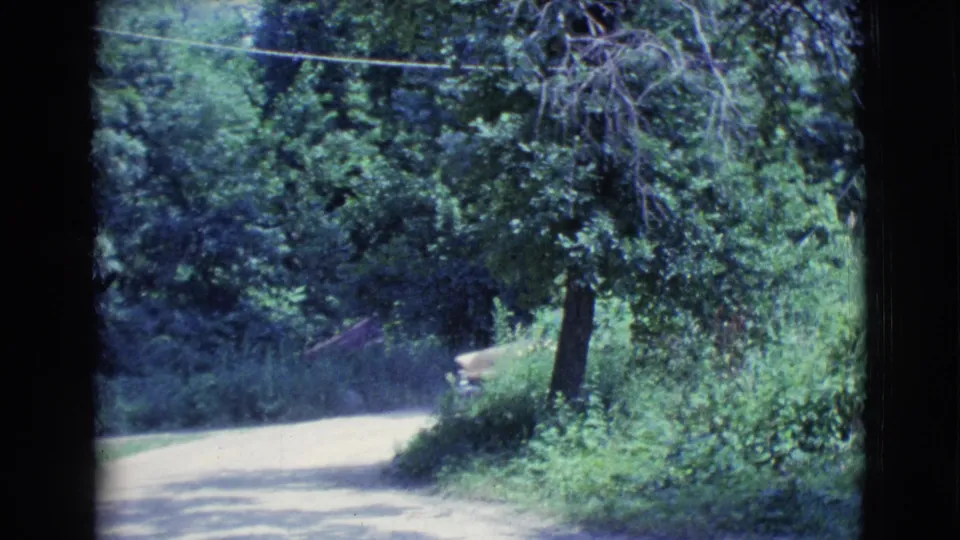 The car exits behind roadside greenery as the wooded Clarkdale road remains in view.