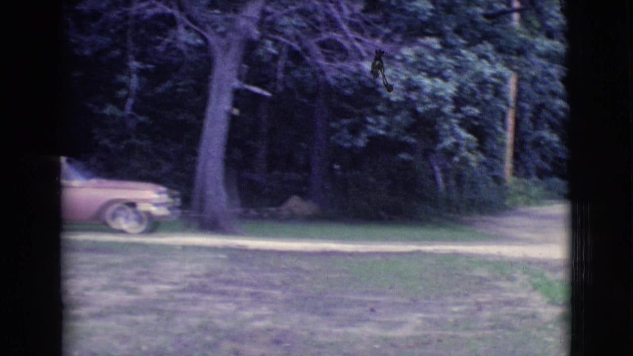 Wooded yard with a dirt path and part of a pink station wagon at left.