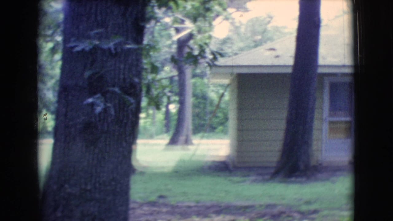 Side of a yellow house seen between large tree trunks and lawn.