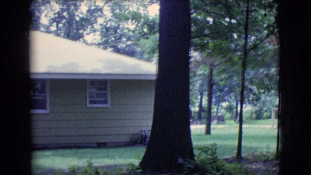 Tan house wall and pale roof seen behind dark tree trunks and green grass.