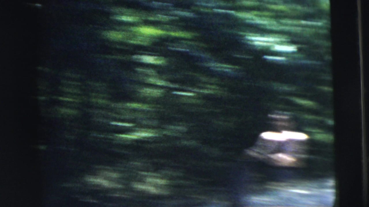 Blurred trees and a small bright figure moving through a shaded outdoor scene.