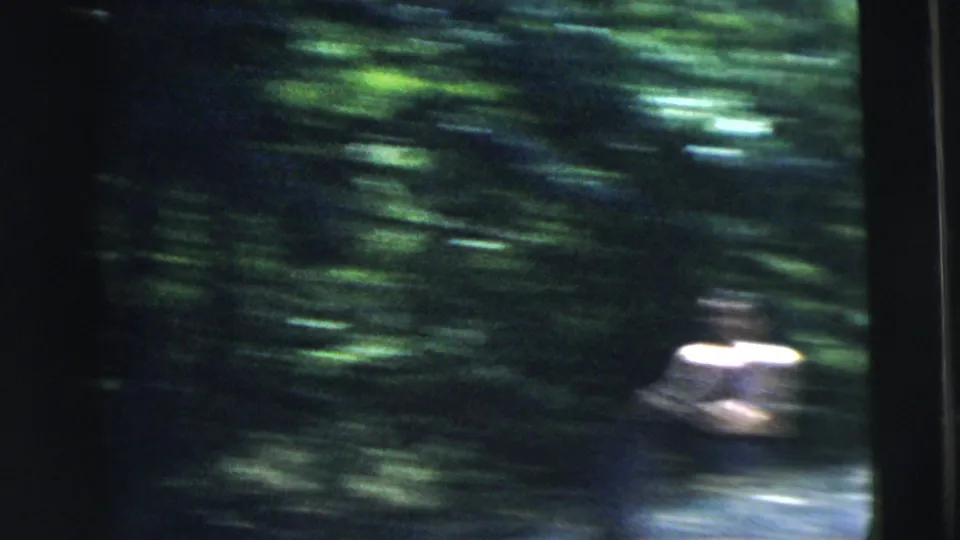 Motion-blurred 8mm frame from the Camden, New Jersey clip showing leafy shade and a bright figure partly visible during play.