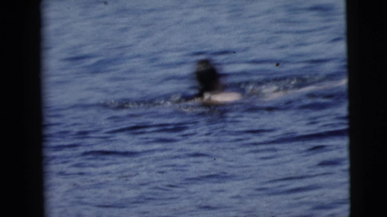 1962 Camden, New Jersey home-movie frame showing a swimmer in blue lake water, softly focused and bordered by the film frame.