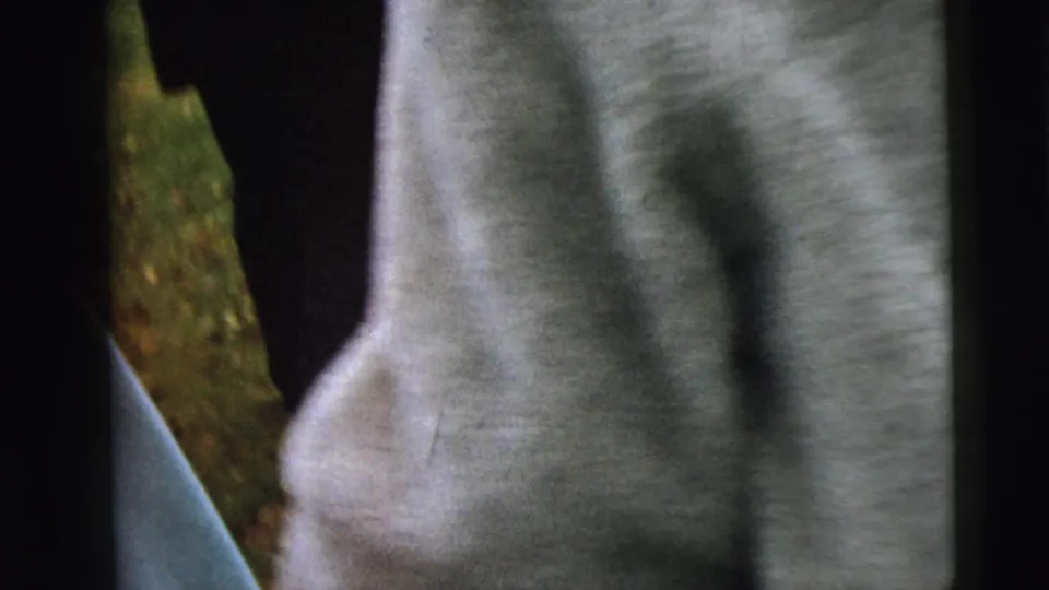 The final frame shows a close rear view of a gray coat in soft 8mm focus, with dark frame edges and a small area of lawn or foliage visible.
