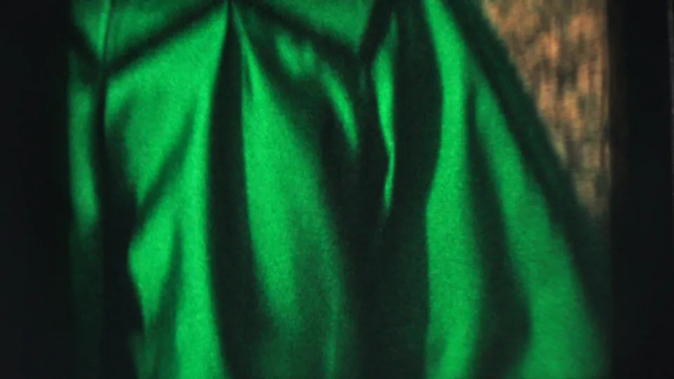 Rear close-up of the woman's bright green dress in a 1962 Camden outdoor home-movie frame.