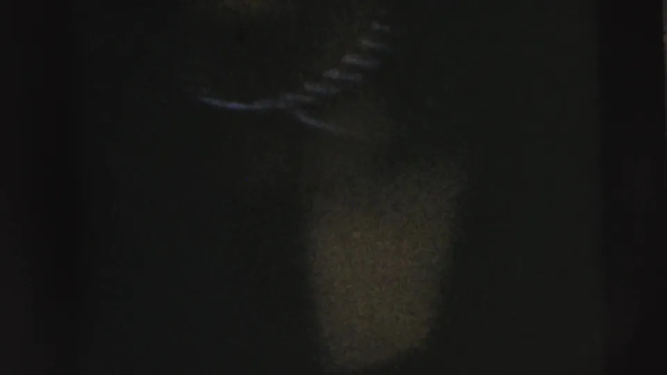 Underexposed home-movie frame with a faint adult figure standing in a grassy wooded area in the Camden footage.