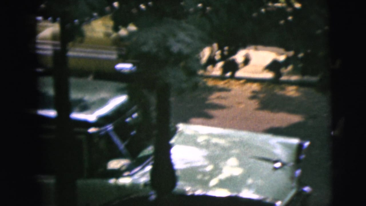 A two-tone sedan is parked at the curb with vintage cars behind it.