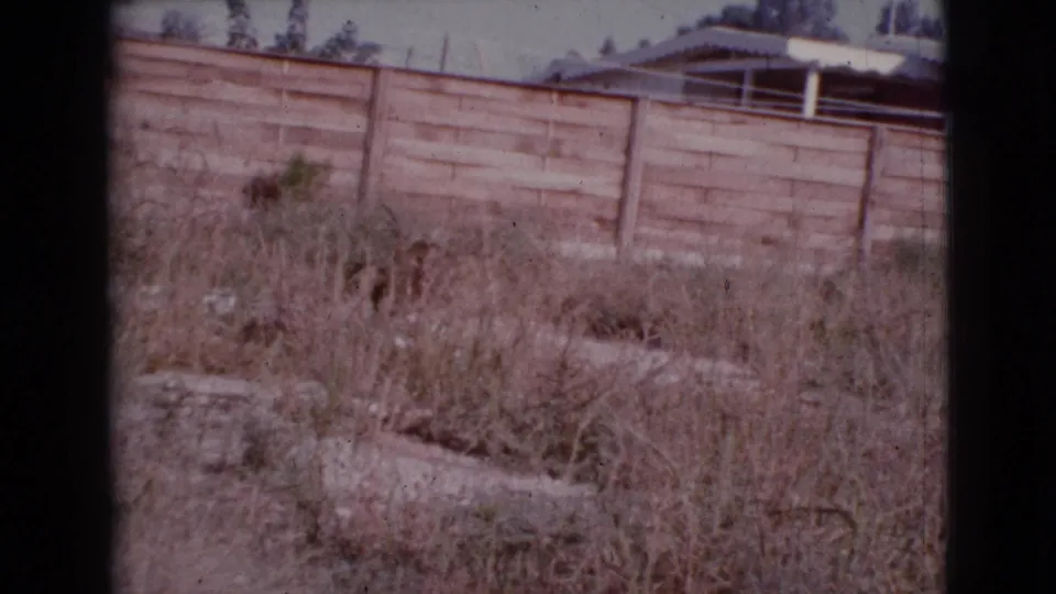 Cottonwood, Arizona home-movie frame with dry weeds, wooden fencing, barbed wire, and a simple roofline beyond.