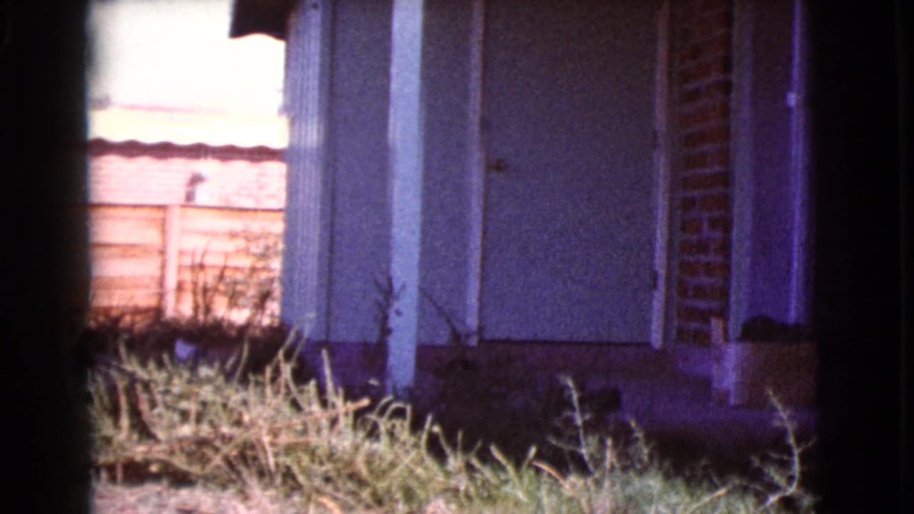 Side of a house with white wall, brick edge, weeds, and wooden fence behind it.