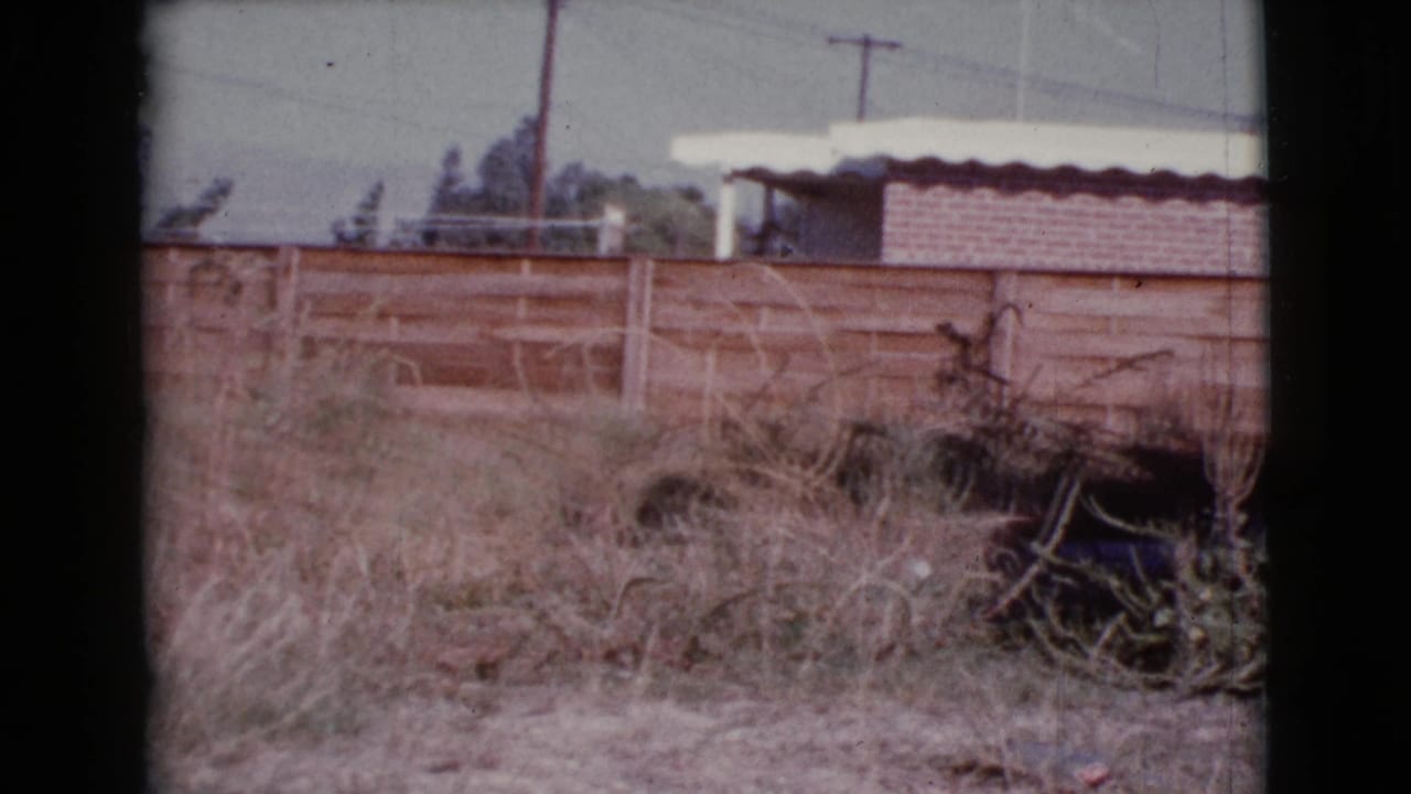 Weathered wooden fence behind dry grass with utility poles, wires, and a low building beyond.