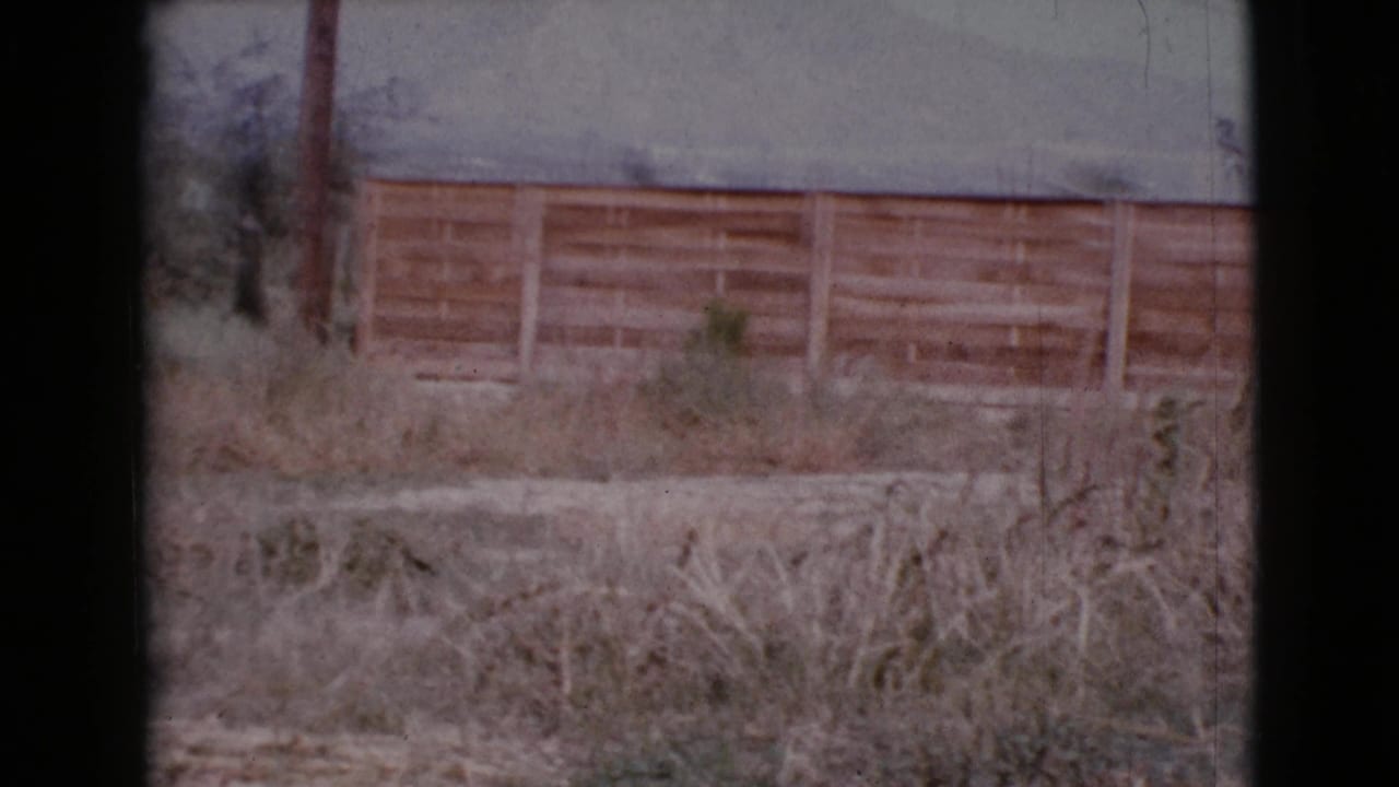 Dry grass and dirt in front of a wooden fence and utility pole.