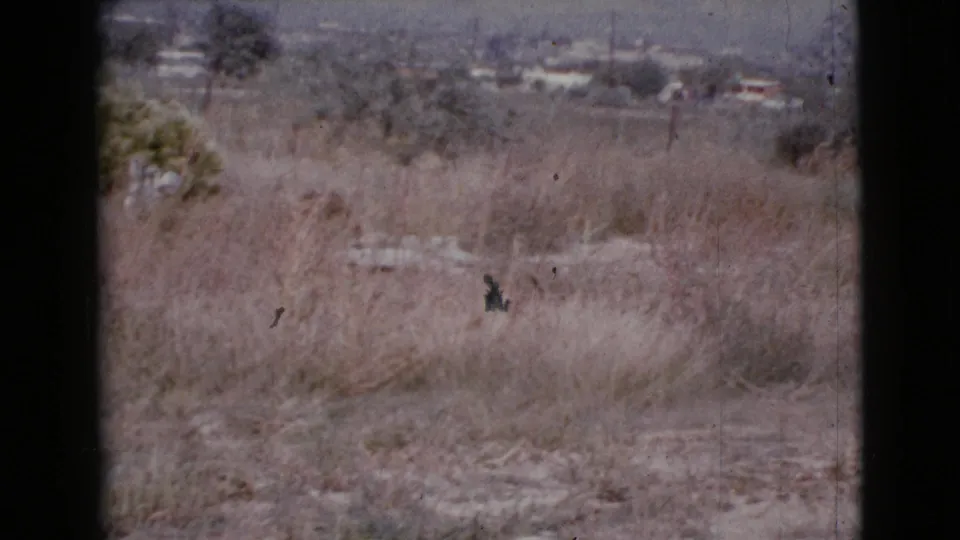 1964 Cottonwood, Arizona 8mm frame showing a dry overgrown field, scattered scrub, distant low buildings, and pale hills beyond.