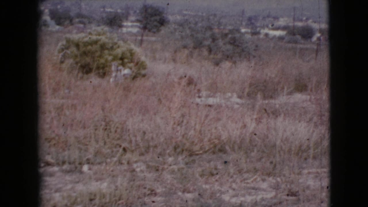 Dry grassland with scattered shrubs and distant rooftops under a hazy sky.