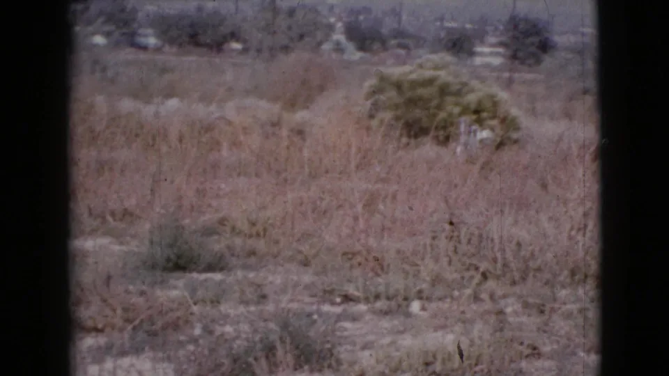 1964 Cottonwood, Arizona home-movie view of dry brush, bare earth, and distant settlement structures.