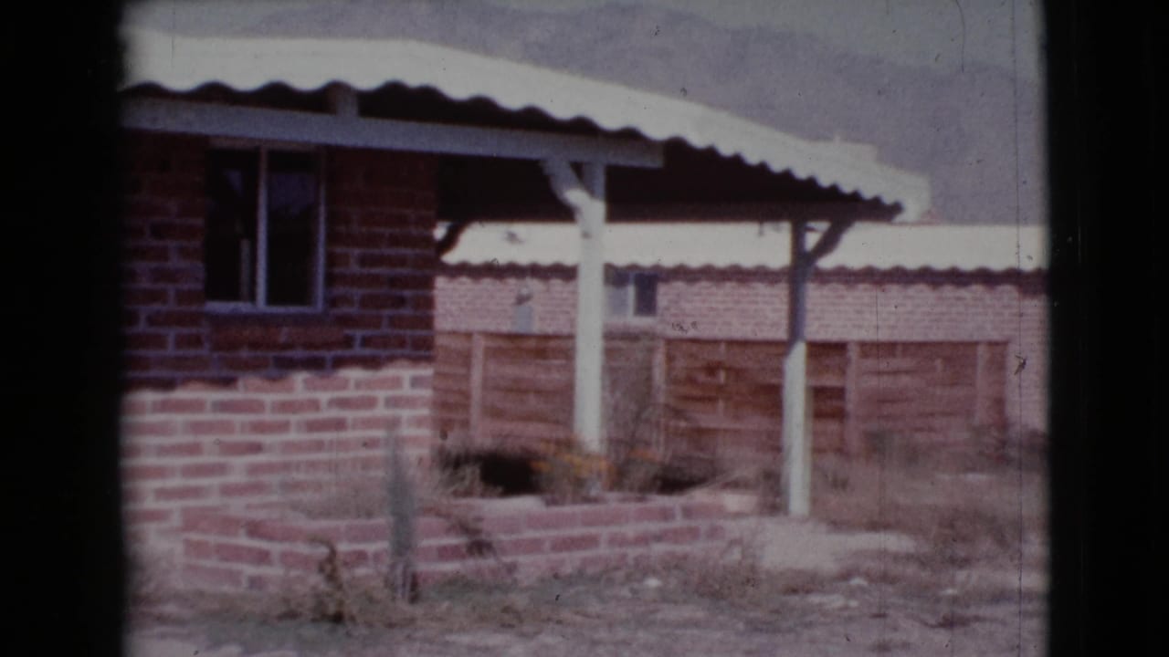 Red brick house exterior with corrugated roof, porch posts, window, planter, and dry yard.