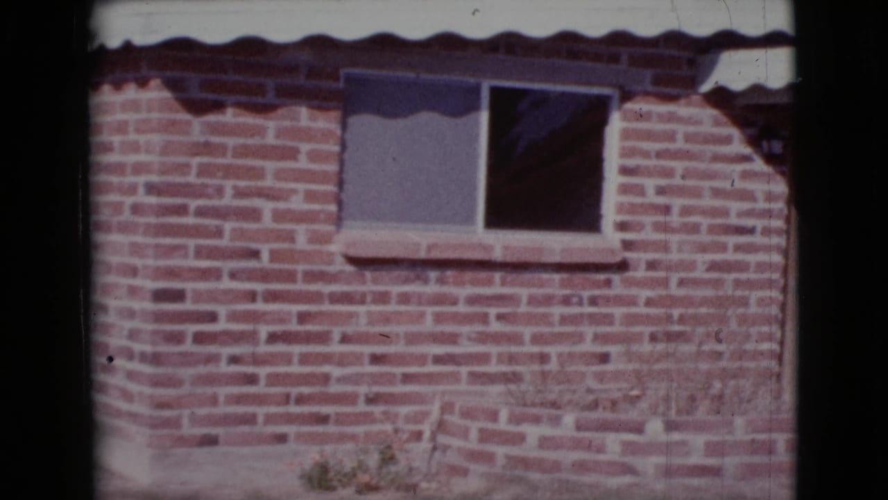 Brick house wall with a small window and corrugated awning above a dry yard.