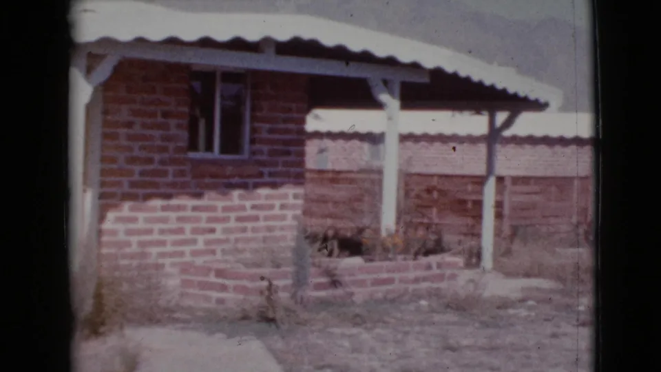 The 8mm frame shows the Cottonwood house facade with a shaded window, white awning supports, brick planter, and sunlit dry yard.