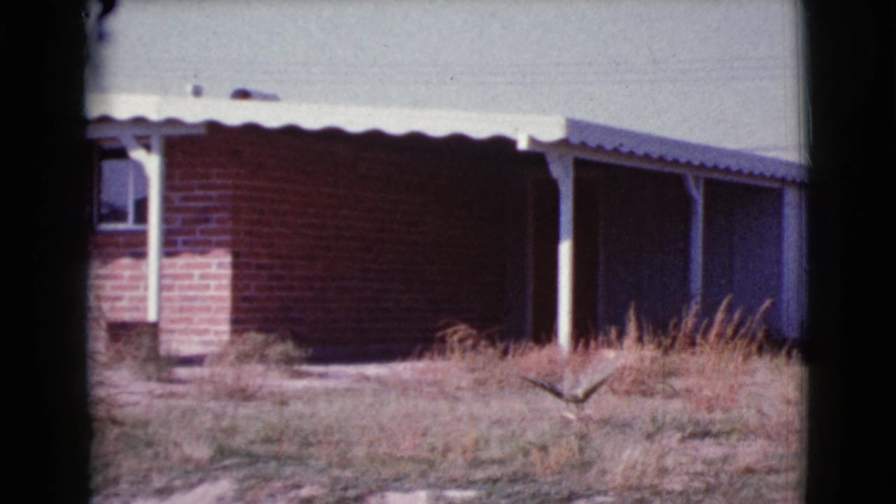 Brick house exterior with white roof edge, shaded porch, dry grass, and sparse yard vegetation.