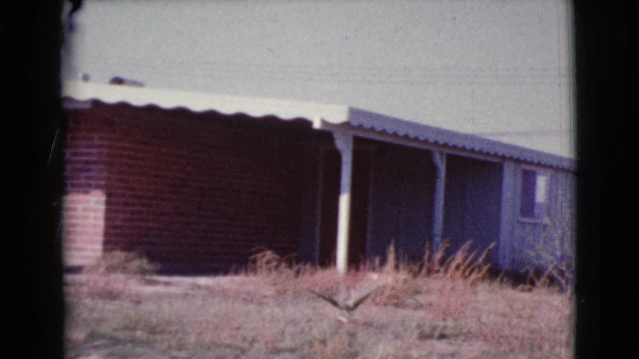 Red brick and blue-sided single-story house beside dry grass under a pale sky.
