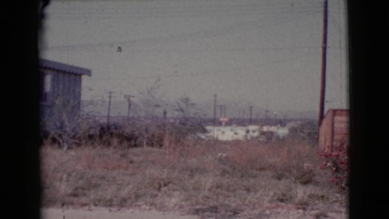 Dry grass and utility poles seen past a wooden shed and red flowers.