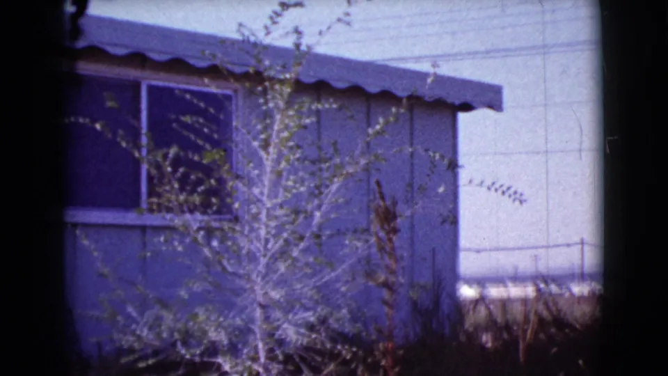 The pan holds on the blue house exterior in Cottonwood, with a leafy tree crossing the window and faint overhead utility lines.