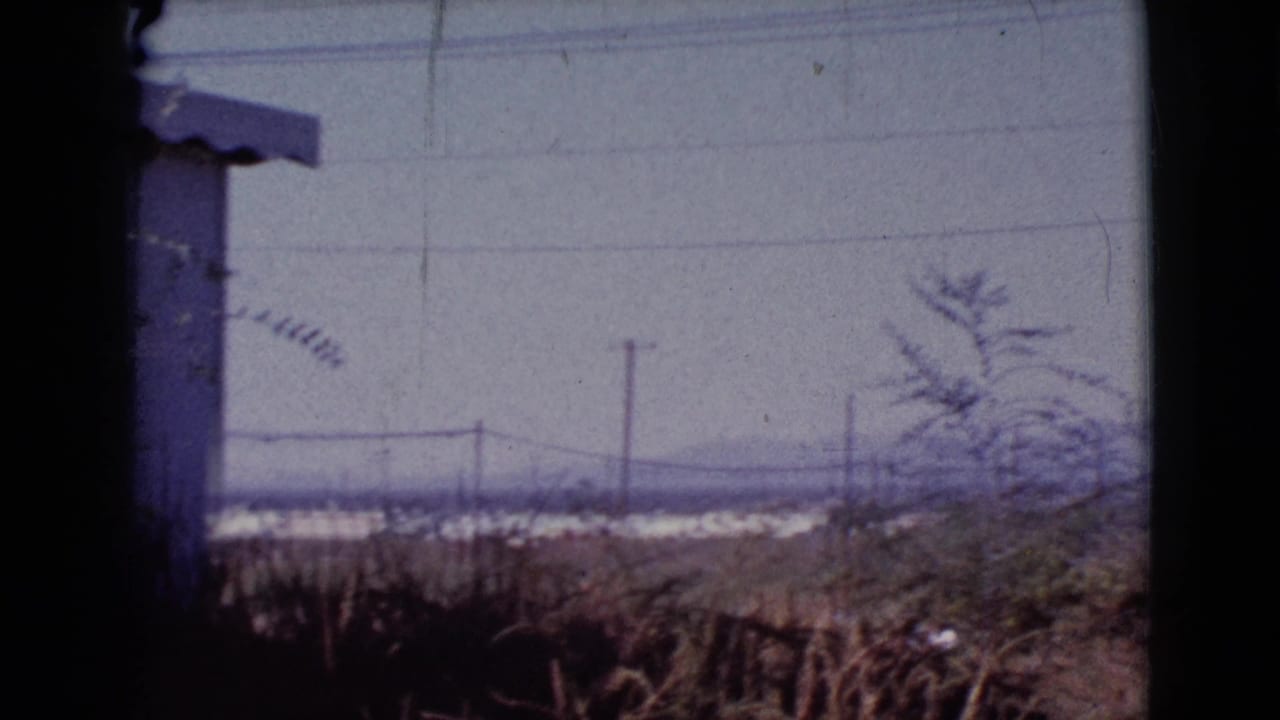 Rural view with dry grass, shrubs, power lines, distant buildings, and faint mountains.