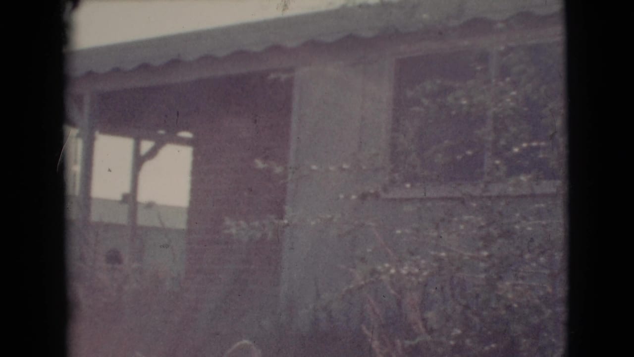 Dim view of a small house exterior partly obscured by branches and film-frame edges.