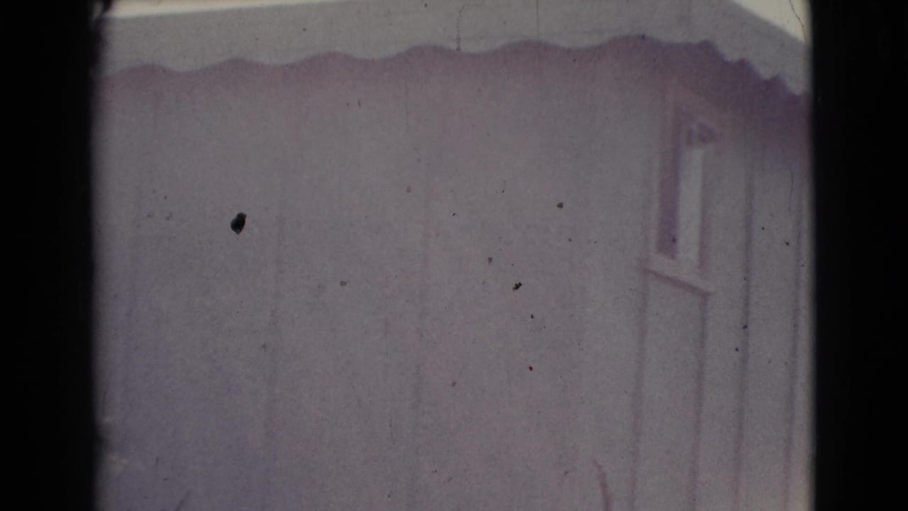 Close view of a pale wood-sided house wall with a small window and corrugated roof edge.