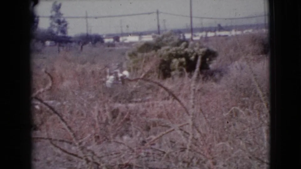 1964 Cottonwood, Arizona 8mm view of scrubland with foreground branches, dry grass, utility poles, and distant low buildings.