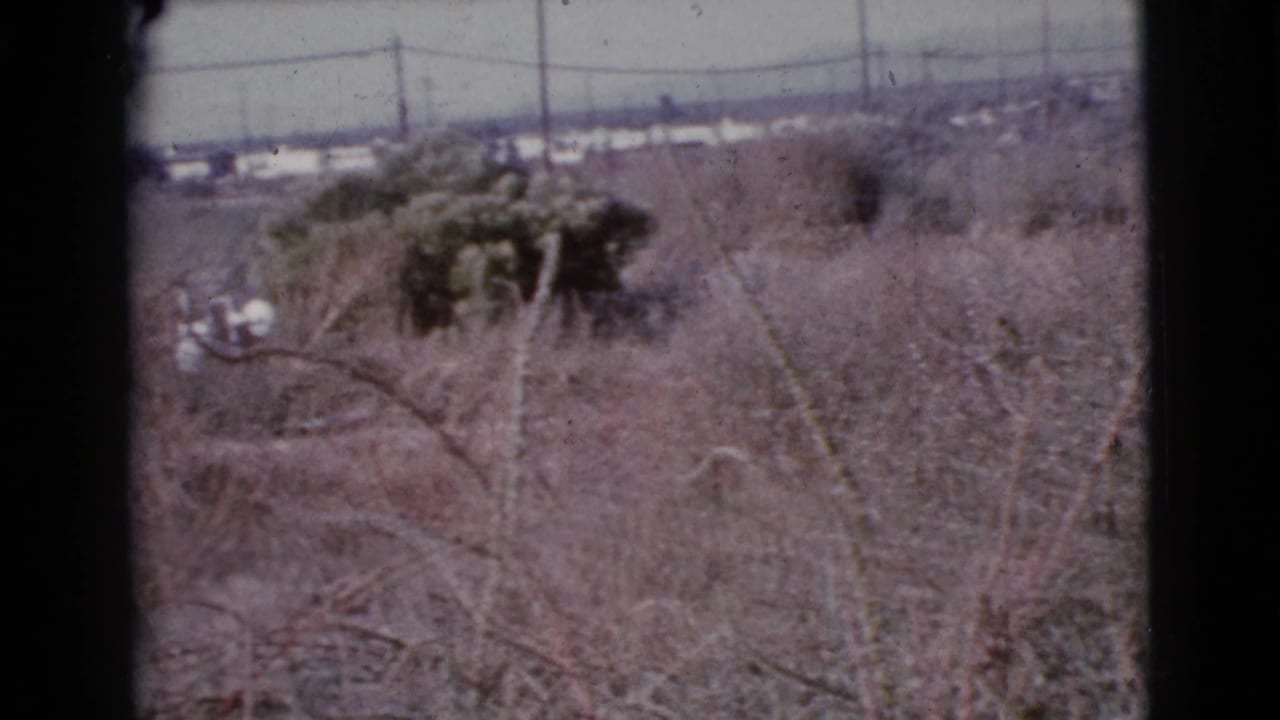 Dry overgrown field with distant houses, utility poles, and hazy sky.