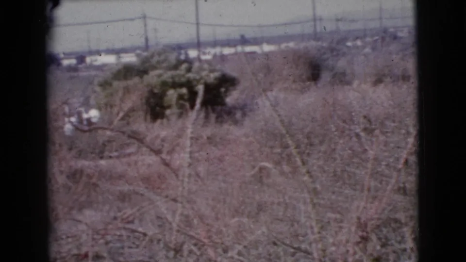 1964 Cottonwood, Arizona home-movie frame showing dry brush, low distant houses, utility poles, and soft hazy sky.