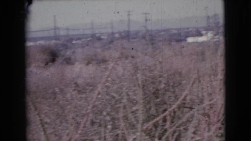 Home-movie view across an overgrown Cottonwood, Arizona field toward faint houses and utility poles under a pale sky.
