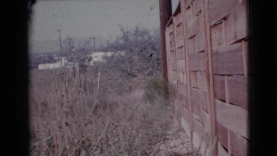 Cottonwood, Arizona home-movie frame with overgrown vegetation beside a wooden fence or wall and distant houses beyond.