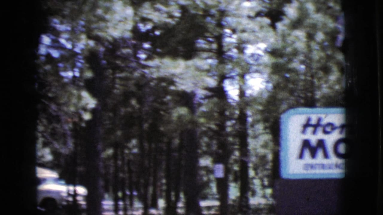 Motel sign partly visible among tall pine trees with a white vehicle at the roadside.