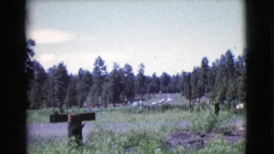 1964 Cottonwood, Arizona roadside view with pine trees, a mailbox, grass, and distant motel-area signage.