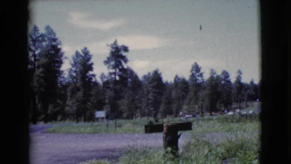1964 Cottonwood, Arizona frame showing a pine-lined roadside, mailbox, grassy shoulder, and distant motel-area signs on 8mm film.