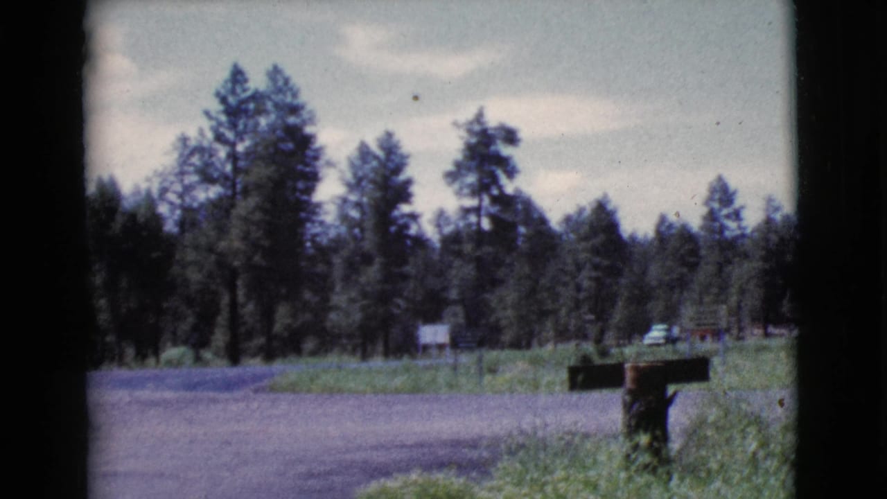 Gravel roadside lot with trees, a wooden signpost, and distant parked cars.