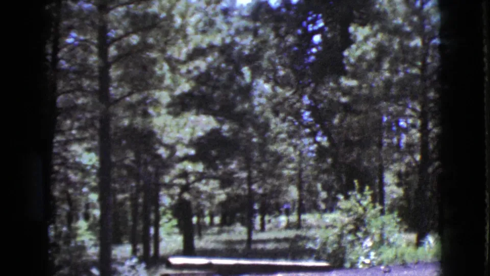 Tree-covered motel grounds in Cottonwood, Arizona, seen from a visitor's 8mm camera with a low bench or barrier in the foreground.