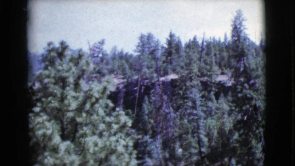 1964 Cottonwood, Arizona frame with pine trees and wooded mountain terrain seen during a slow outdoor pan.