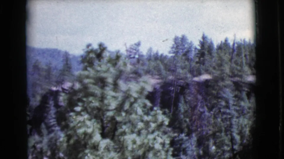 1964 Cottonwood, Arizona home-movie frame showing pine foliage, distant hills, and soft motion from the camera pan.