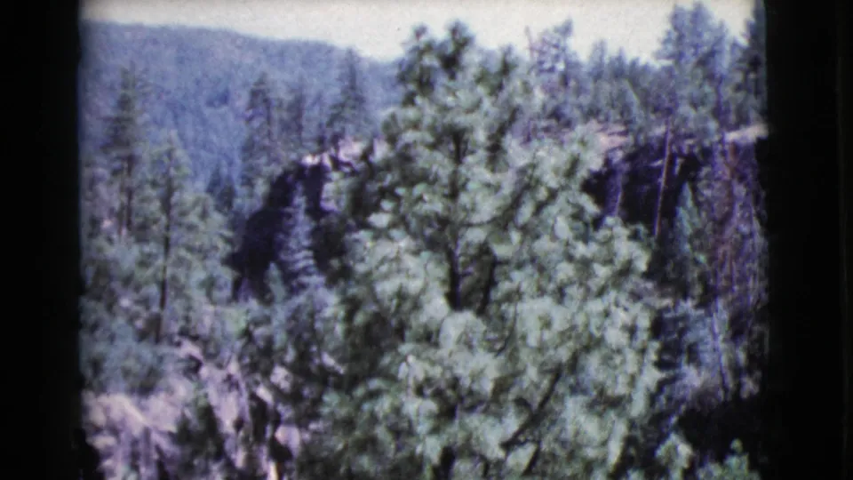 1964 Cottonwood, Arizona frame showing a pine-covered canyon edge and layered wooded ridges in soft 8mm color.